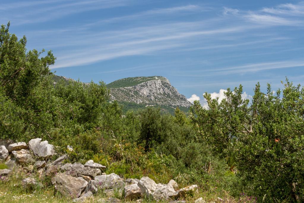 Panorama Holidays Kaštel Stari Zewnętrze zdjęcie