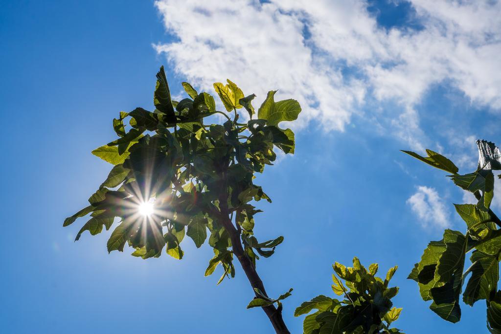 Panorama Holidays Kaštel Stari Zewnętrze zdjęcie